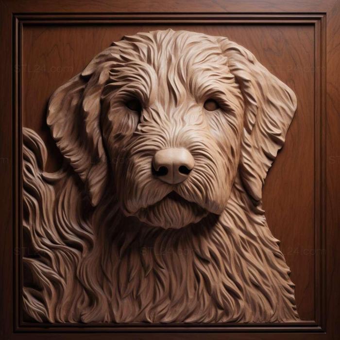 Labradoodle dog 2